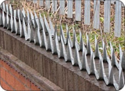 Wall Spike Fences 